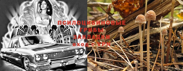 герыч Бронницы