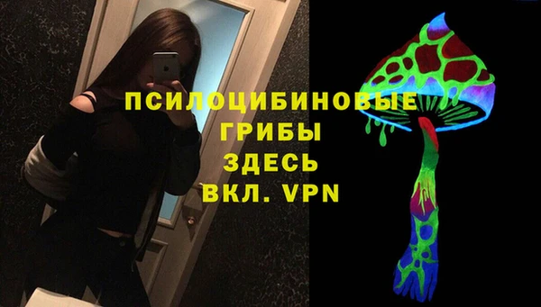 герыч Бронницы